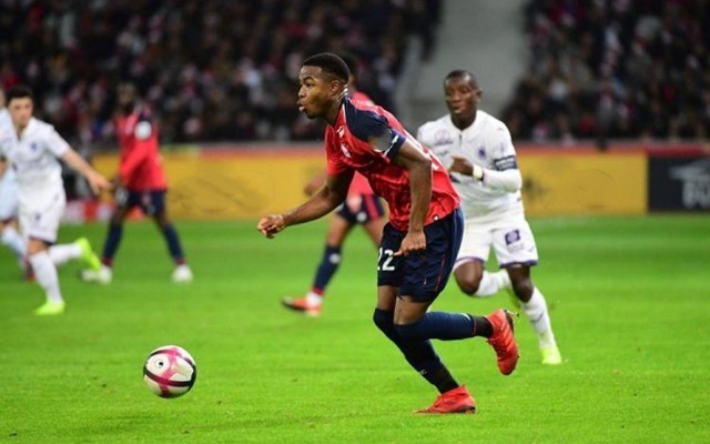 能包含点券 能包含点券